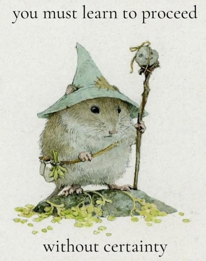 a large standing mouse with a wizard hat, holding a staff, with the caption: "you must learn to proceed without certainty"